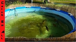 HOW TO BUILD A POND using a POOL in your backyard CatchEmAllFishing General DIY Pond OverView [upl. by Isman]