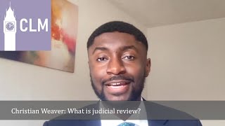 Explainer What is judicial review [upl. by Eidob]