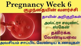 Pregnancy week 66 weeks pregnant symptoms in tamilfirst trimester pregnancy tamil6th week tamil [upl. by Anauqal]