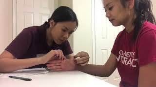 Hand ExaminationMeasuring Compilation  Unintentional ASMR [upl. by Assyla]