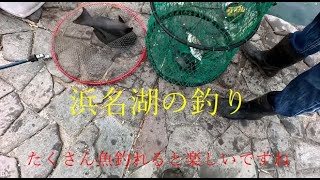 浜名湖の釣り たくさん魚釣れると楽しいですね [upl. by Nelyk]