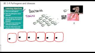 GCSE science Invasion of the pathogens [upl. by Nahtnahoj]