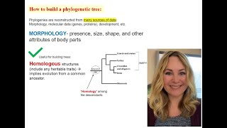 Phylogeny  Part 1 [upl. by Josi]