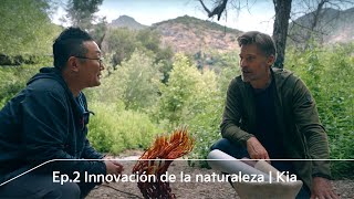 Diseñando el mañana  Ep 2 Innovación de la naturaleza [upl. by Ataynik]