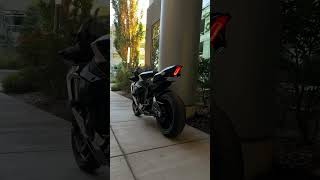 Yamaha R1 The Jungle GIF That Started It All [upl. by Valora]