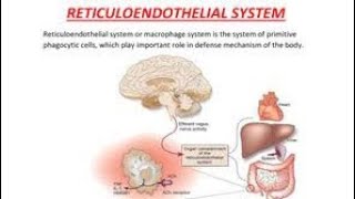 Mnemonics to remember Cells of the reticuloendothelial system and their location [upl. by Palecek882]