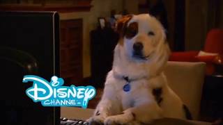 Disney Channel Bumper Dog with a Blog [upl. by Chamkis199]