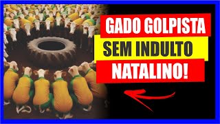 GADO G0LPISTA FICAM FORA DO INDULTO DE NATAL [upl. by Syla797]