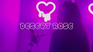 DESERT ROSE  LOLO ZOUAï Vanna Rainelle Cover [upl. by Edy]