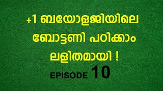 1botany class episode 10 [upl. by Hansen]