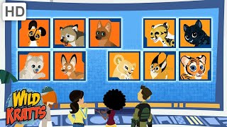 Whos Cuter Puppies or Kittens  Cats and Dogs  Wild Kratts [upl. by Silvers]