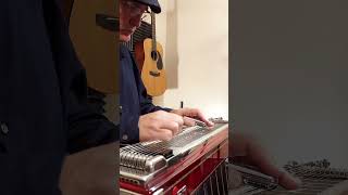 Using 7 Techniques to Improve Our Playing  pedalsteelguitar [upl. by Crispin]