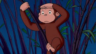 Curioso Come George 🐵 George allo zoo 🐵Cartoni per Bambini [upl. by Zacharias]