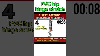 PVC hip hinge stretch workout posturecorrection [upl. by Nas]