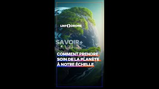 Journée mondiale de lenvironnement  voici 3 règles à faire pour maintenir son cadre propre short [upl. by Nairb249]