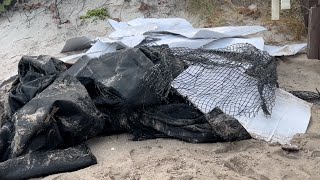 Singer Island residents frustrated by beach pollution [upl. by Isak]