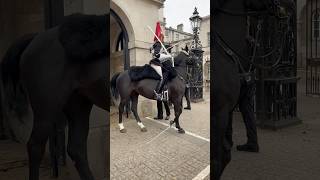 Horse Guard Mayhem 🐴💥 LondonChaos HorseDrama TouristFail Shorts [upl. by Duong706]