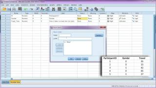 Enter data and define variables in SPSS [upl. by Naul18]