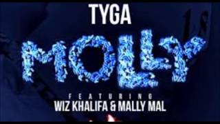 Molly Clean Tyga Ft Wiz Khalifa amp Mally Mall [upl. by Soilisav626]