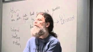 Dr Robert Sapolsky on Human Polygamy [upl. by Imat]