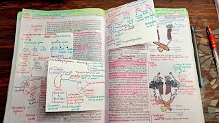 Structural organization in animal FROG class 11th NCERT BIOLOGY FOR NEET PhysicsWallah [upl. by Rezeile]