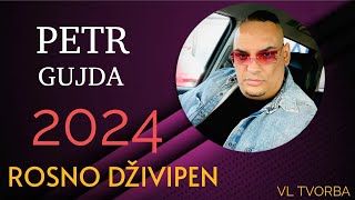 PETR GUJDA ROSNO DŽIVIPEN Vl TVORBA ❤️❤️❤️❤️❤️🔥🔥🔥🔥 2024 [upl. by Eked997]