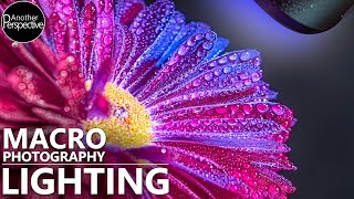 Creative Macro Photography Lighting using Adaptalux [upl. by Eicaj]