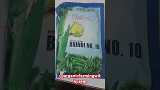 okra seeds  bhindi no 10 mahyco hybrid seed commercialfarming farming bhindi farming [upl. by Moria]