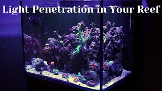 Light Penetration and Water Clarity [upl. by Gredel]