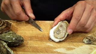 Oysters 101 Learn the Basics [upl. by Nolur]