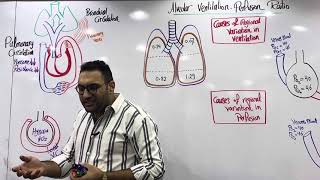 Alveolar  Ventilation ratio by dr Elsherif [upl. by Barger]