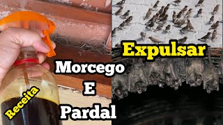 COMO ESPANTAR MORCEGO E PARDAL DO TELHADO… [upl. by Kanya]