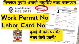 work permit number in UAE Dubaiiloe mohre App work permit number problem [upl. by Arymat]