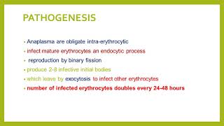 LECTURE ON ANAPLASMOSIS [upl. by Tomkins]