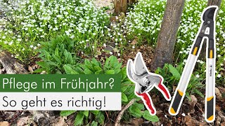 So pflegst du deinen Naturgarten im Frühjahr im Sinne der Tierwelt [upl. by Sirad]