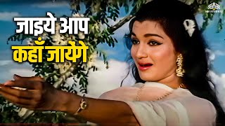 Jaaiye Aap Kahan Jayenge  Asha Bhosle  Asha Parekh Biswajit Chatterjee  Mere Sanam [upl. by Bazar983]