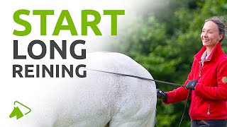 Long Reining Your Horse  How to Start  wehorse [upl. by Murielle543]