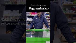 Puppy vaccination scheduleDog vaccination Rabies vaccine dogs puppy [upl. by Oilalue]