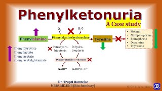 8 Phenylketonuria  Amino acid Metabolism  Biochemistry  NJOY Biochemistry [upl. by Batish]