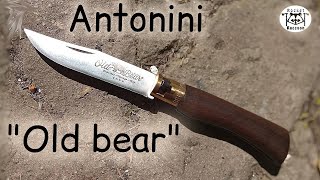 Недооцененный нож Old Bear от Antonini [upl. by Saval]