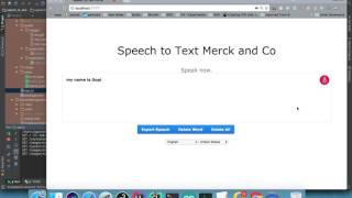 Google webkitSpeechRecognition [upl. by Neau350]