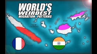 Fiji amp New Caledonia Worlds Weirdest Migration Patterns [upl. by Ytsirt]