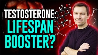 The Lifespan Link Does Testosterone Extend Life Dr David Sinclair Explains [upl. by Crofton809]