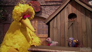 Sesame Street Season 48 The Good Birds Club [upl. by Ayocat]