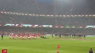 Tonga Haka at Wales vs Tonga Autumn 2018 [upl. by Emarej103]