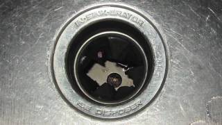 Troubleshooting Garbage Disposals [upl. by Durrej715]