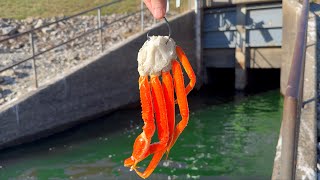 Catching a Spillway MONSTER in the Most EPIC Way Possible [upl. by Cherilynn]