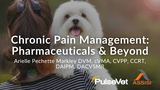 Chronic Pain Management Pharmaceuticals and Beyond [upl. by Ahsi]