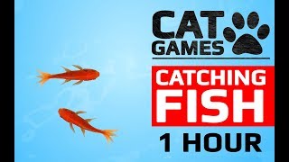 CAT GAMES  🐟 CATCHING FISH 1 HOUR VERSION VIDEOS FOR CATS TO WATCH [upl. by Allwein]