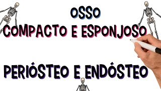 ✅ TECIDO ÓSSEO COMPACTO E ESPONJOSO  PERIÓSTEO E ENDÓSTEO  DIÁFISE E EPÍFISE [upl. by Ztnarf858]